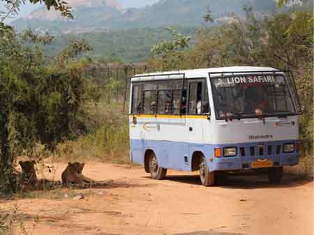 Cabs in Tirupati